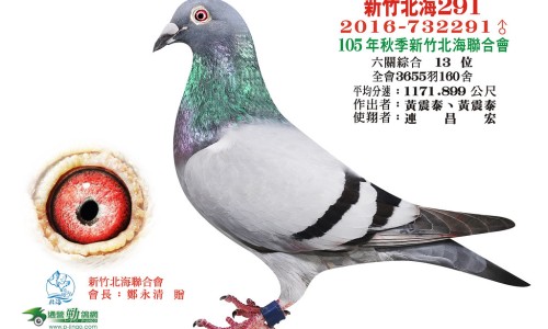 益脉康胶囊的功效和作用和药的成份是什么-益脉康胶囊的功效网 | 益脉康胶囊的功效与副作用,益脉康胶囊的功效与副作用